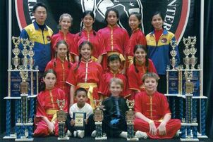 aiping tai chi and wudang kung fu academy, aiping cheng, cunjie guo, wushu team