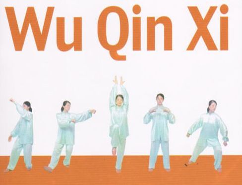 health qigong, Wu Qi Xi, five animals, Aiping Tai Chi Center